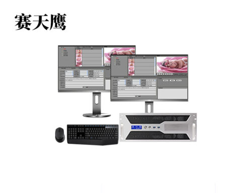 STY/HY-MAM2400 媒体资产管理系统+16TB